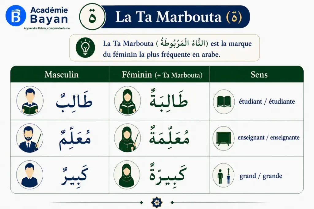 Accord de genre en arabe : adjectif et verbe