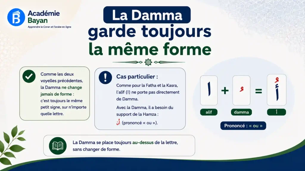 La Damma sur différentes lettres arabes