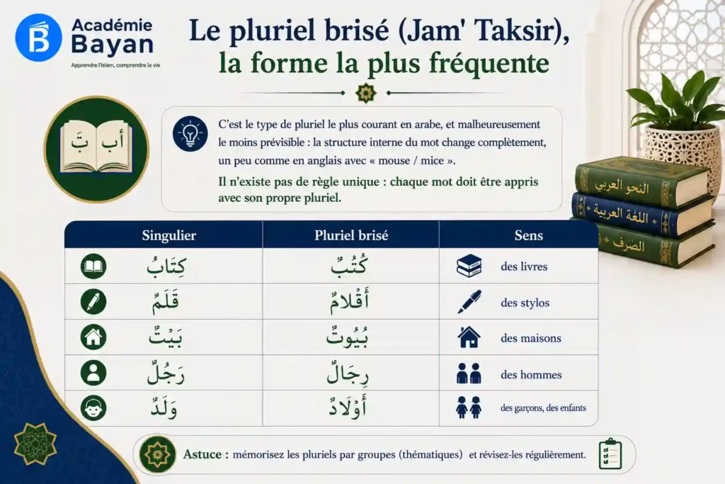 pluriel-brise-arabe-jam-taksir.webp