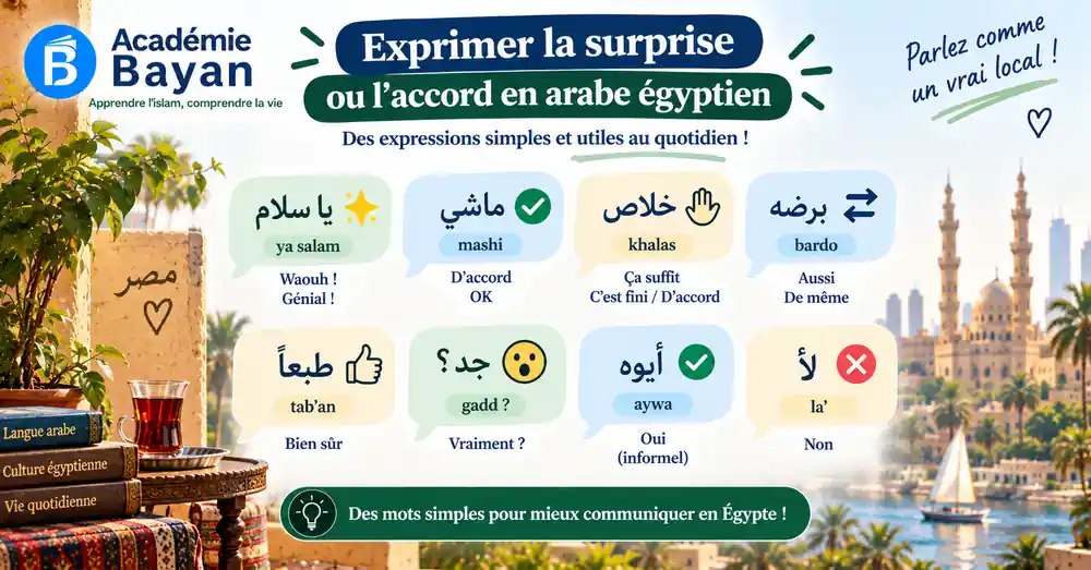 Expressions de surprise et d'accord en égyptien