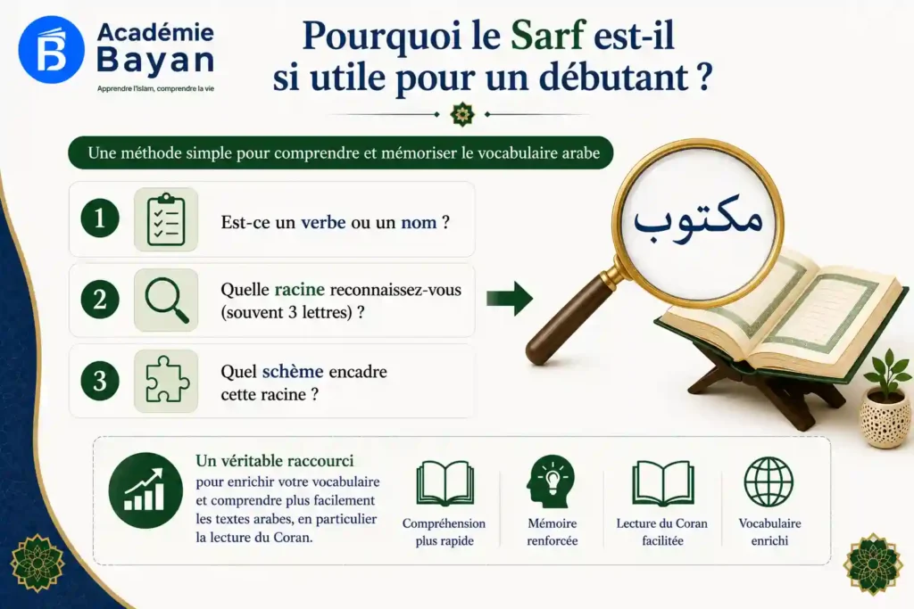 Récapitulatif : le Sarf dans tout le cluster grammaire