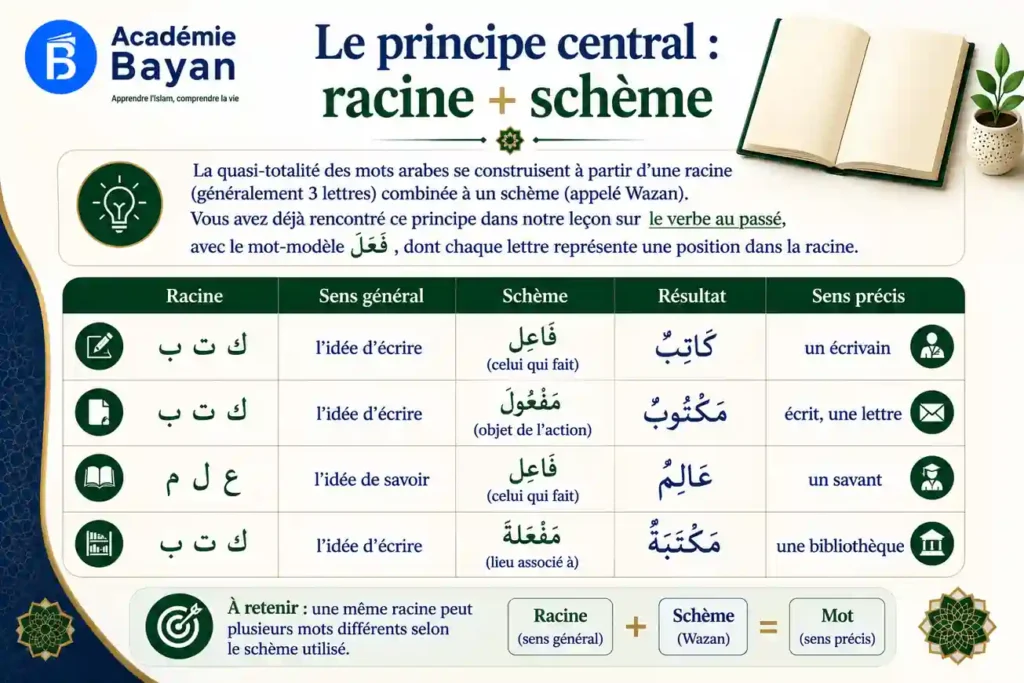 Racine et schème en arabe (Sarf)